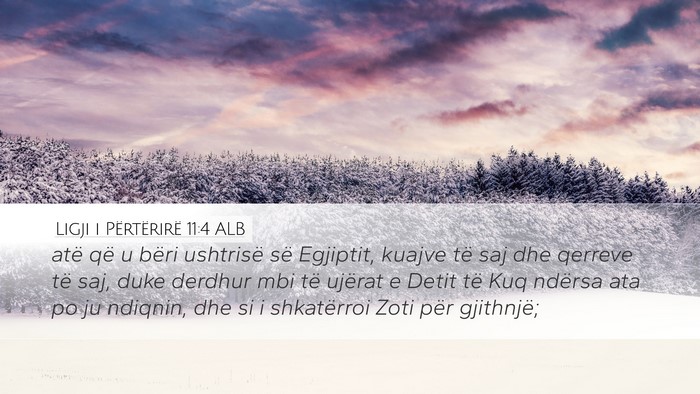 Ligji i Përtërirë 11:4 ALB Desktop Wallpaper - atë që u bëri ushtrisë së Egjiptit, kuajve - Desktop Bible Verse Wallpaper