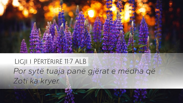 Ligji i Përtërirë 11:7 ALB Desktop Wallpaper - Por sytë tuaja panë gjërat e mëdha që Zoti - Desktop Bible Verse Wallpaper