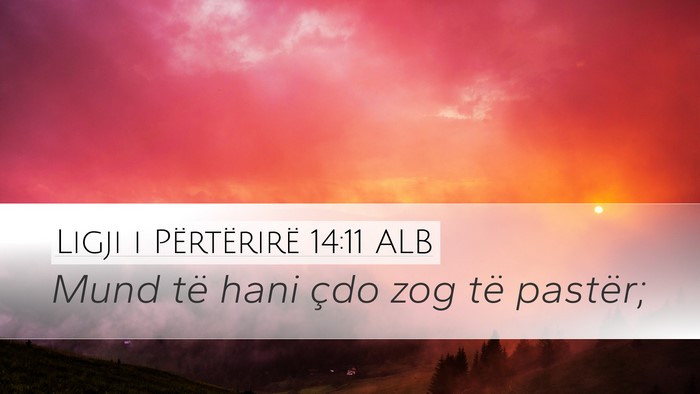 Ligji i Përtërirë 14:11 ALB Desktop Wallpaper - Mund të hani çdo zog të - Desktop Bible Verse Wallpaper