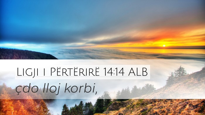 Ligji i Përtërirë 14:14 ALB Desktop Wallpaper - çdo lloj - Desktop Bible Verse Wallpaper