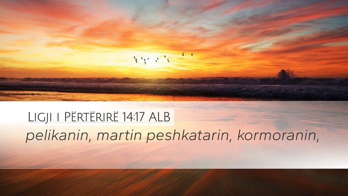 Ligji i Përtërirë 14:17 ALB Desktop Wallpaper - pelikanin, martin peshkatarin, - Desktop Bible Verse Wallpaper