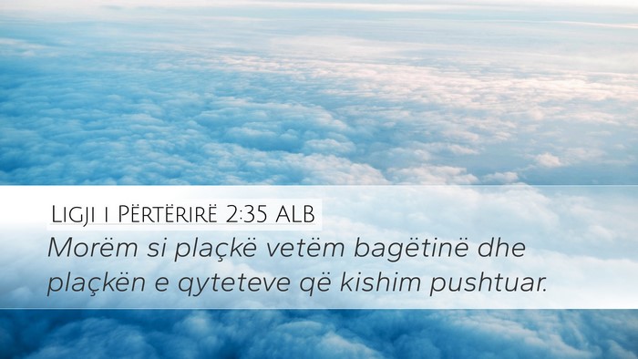 Ligji i Përtërirë 2:35 ALB Bible Verse Image