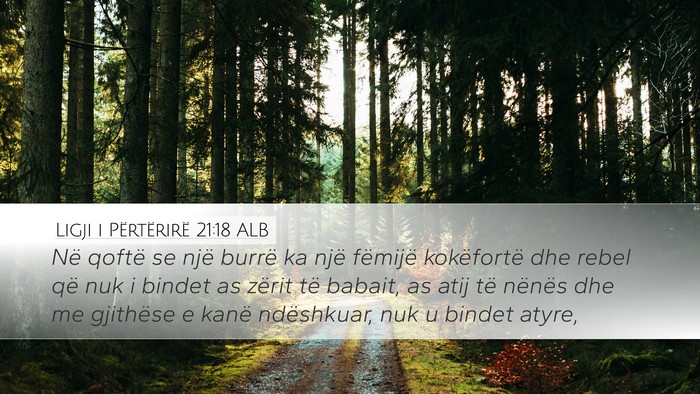 Ligji i Përtërirë 21:18 ALB Bible Verse Image