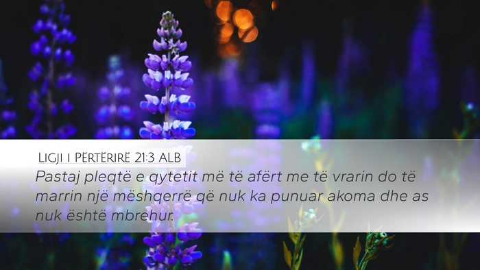Ligji i Përtërirë 21:3 ALB Desktop Wallpaper - Pastaj pleqtë e qytetit më të afërt me të - Desktop Bible Verse Wallpaper