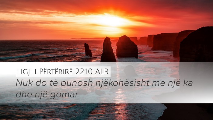Ligji i Përtërirë 22:10 ALB Desktop Wallpaper - Nuk do të punosh njëkohësisht me një ka dhe - Desktop Bible Verse Wallpaper