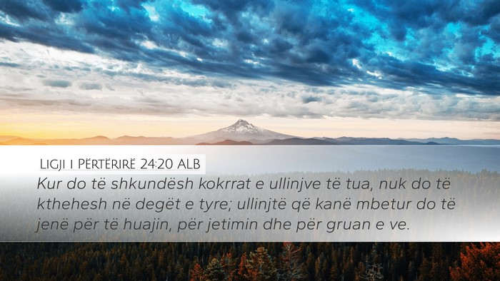 Ligji i Përtërirë 24:20 ALB Desktop Wallpaper - Kur do të shkundësh kokrrat e ullinjve të tua, - Desktop Bible Verse Wallpaper