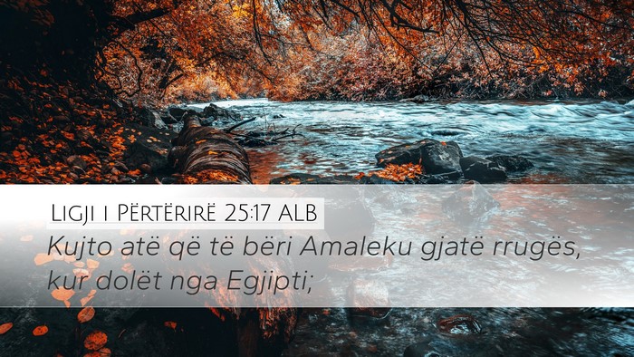Ligji i Përtërirë 25:17 ALB Bible Verse Image