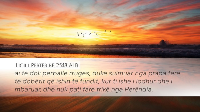 Ligji i Përtërirë 25:18 ALB Desktop Wallpaper - ai të doli përballë rrugës, duke sulmuar nga - Desktop Bible Verse Wallpaper