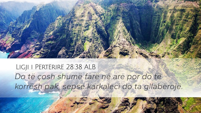 Ligji i Përtërirë 28:38 ALB Bible Verse Image