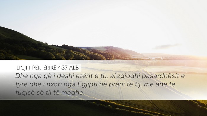 Ligji i Përtërirë 4:37 ALB Bible Verse Image
