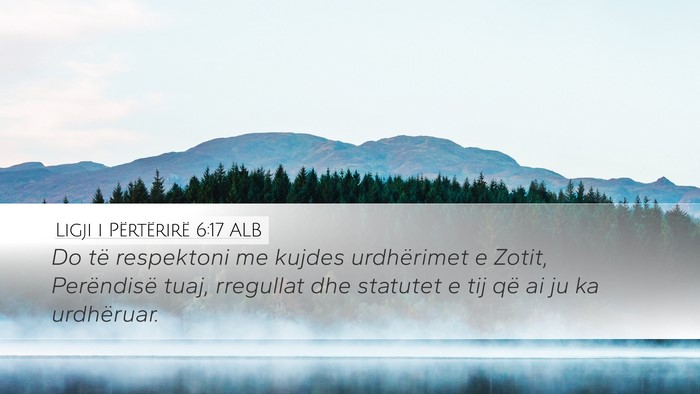 Ligji i Përtërirë 6:17 ALB Bible Verse Image