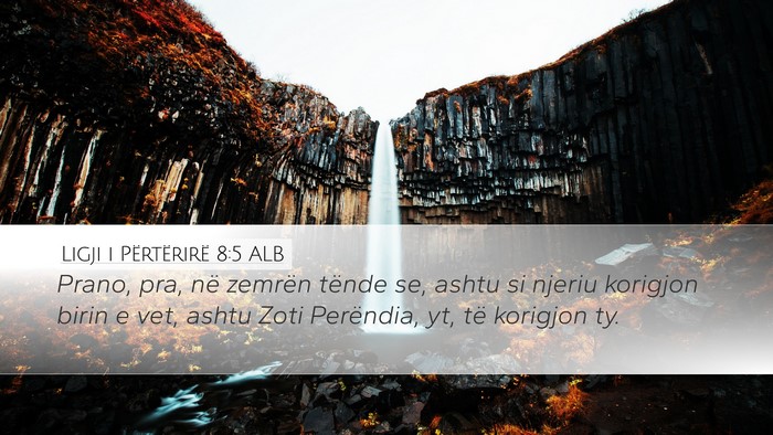 Ligji i Përtërirë 8:5 ALB Bible Verse Image