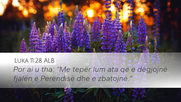 Luka 11:28 ALB Bible Verse Image