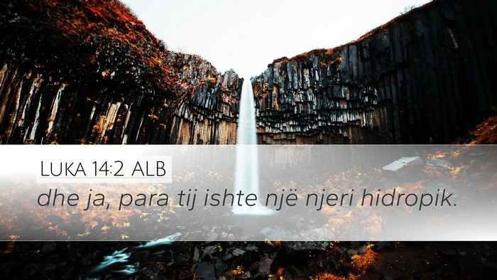 Luka 14:2 ALB Desktop Wallpaper - dhe ja, para tij ishte një njeri - Desktop Bible Verse Wallpaper