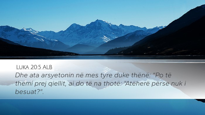 Luka 20:5 ALB Bible Verse Image