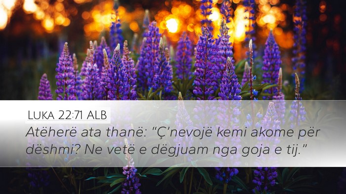 Luka 22:71 ALB Bible Verse Image