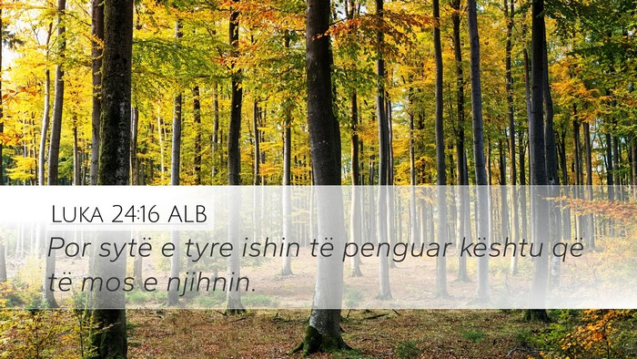 Luka 24:16 ALB Bible Verse Image