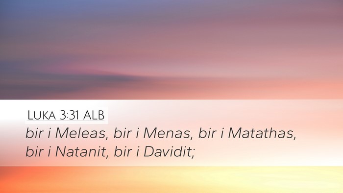 Luka 3:31 ALB Desktop Wallpaper - bir i Meleas, bir i Menas, bir i Matathas, bir i - Desktop Bible Verse Wallpaper