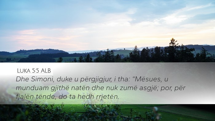 Luka 5:5 ALB Bible Verse Image