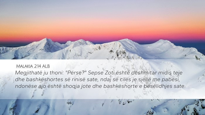 Malakia 2:14 ALB Bible Verse Image