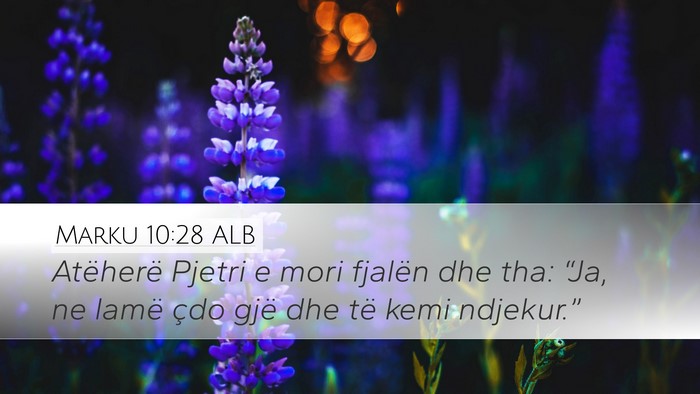 Marku 10:28 ALB Bible Verse Image