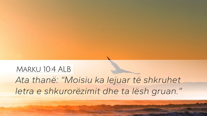 Marku 10:4 ALB Bible Verse Image