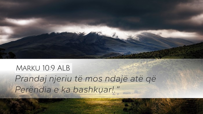 Marku 10:9 ALB Bible Verse Image