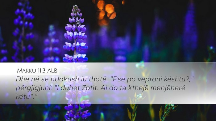 Marku 11:3 ALB Desktop Wallpaper - Dhe në se ndokush iu thotë: 