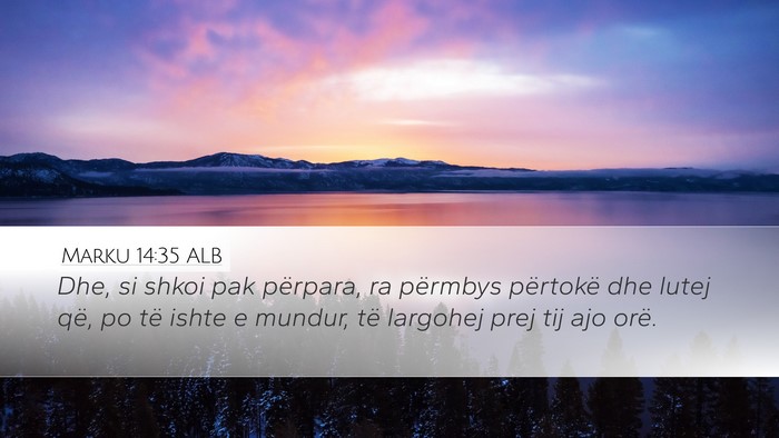 Marku 14:35 ALB Bible Verse Image