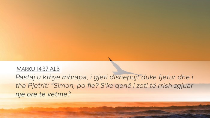 Marku 14:37 ALB Bible Verse Image