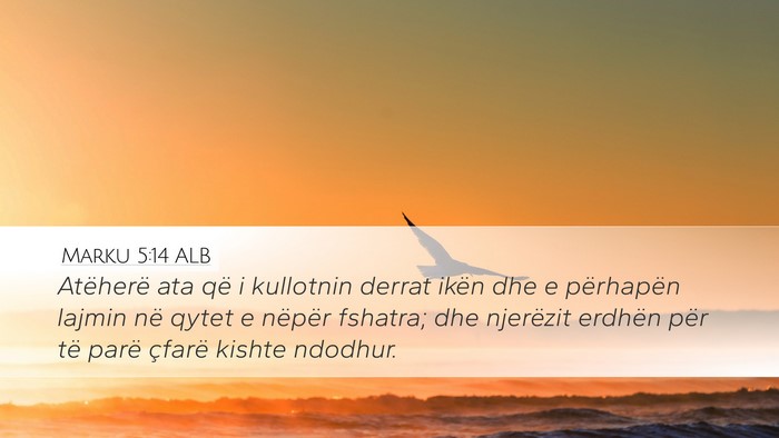Marku 5:14 ALB Bible Verse Image