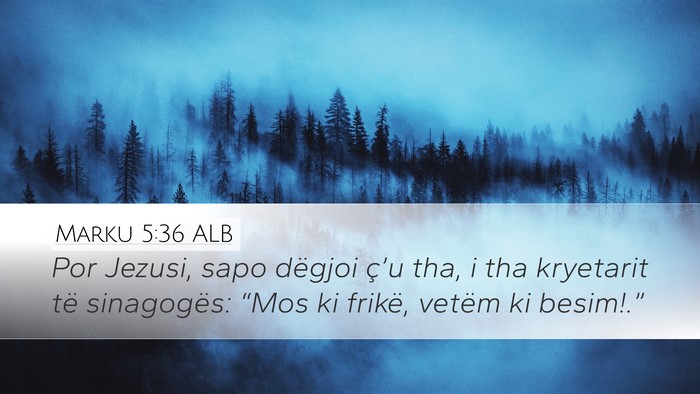 Marku 5:36 ALB Desktop Wallpaper - Por Jezusi, sapo dëgjoi ç’u tha, i tha - Desktop Bible Verse Wallpaper