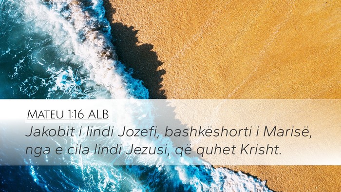 Mateu 1:16 ALB Bible Verse Image