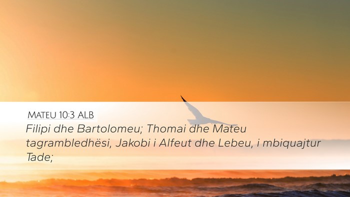 Mateu 10:3 ALB Bible Verse Image