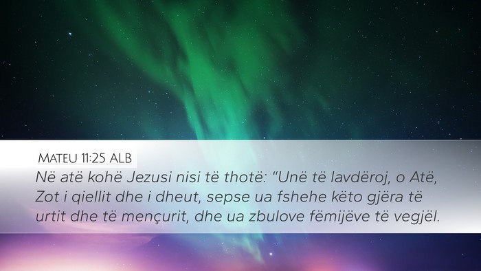 Mateu 11:25 ALB Bible Verse Image