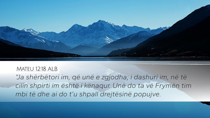 Mateu 12:18 ALB Bible Verse Image