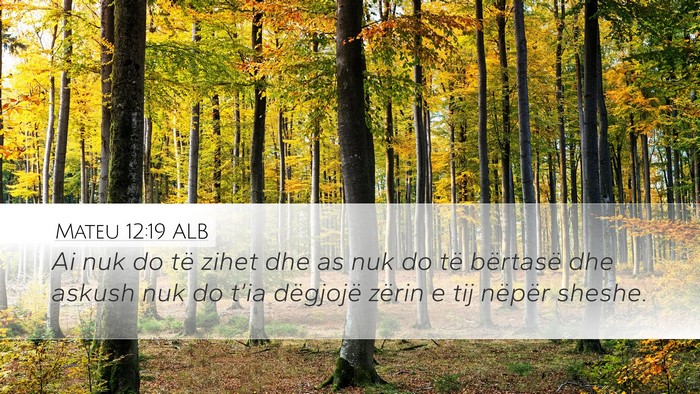 Mateu 12:19 ALB Desktop Wallpaper - Ai nuk do të zihet dhe as nuk do të bërtasë - Desktop Bible Verse Wallpaper