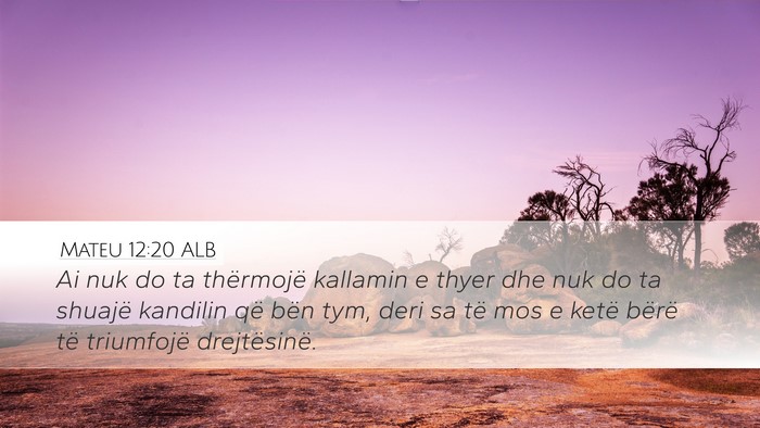 Mateu 12:20 ALB Bible Verse Image