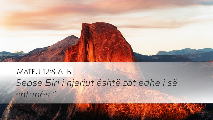 Mateu 12:8 ALB Bible Verse Image