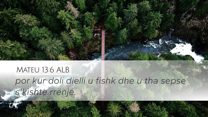 Mateu 13:6 ALB Bible Verse Image