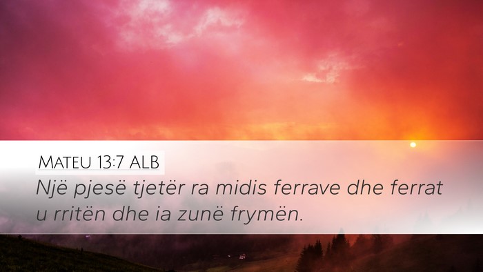 Mateu 13:7 ALB Bible Verse Image