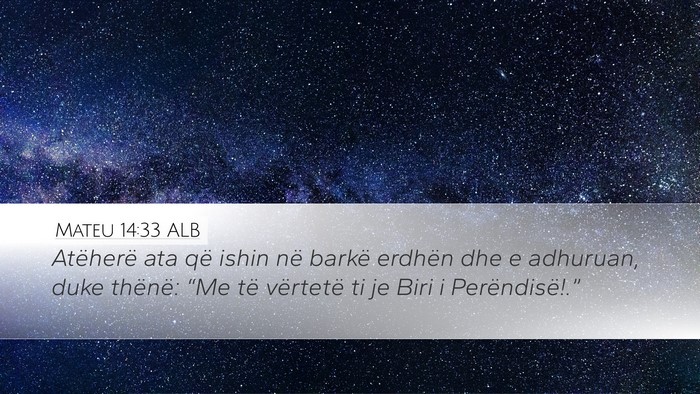 Mateu 14:33 ALB Bible Verse Image