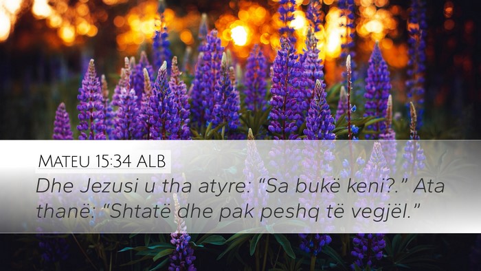 Mateu 15:34 ALB Desktop Wallpaper - Dhe Jezusi u tha atyre: “Sa bukë keni?.” Ata - Desktop Bible Verse Wallpaper
