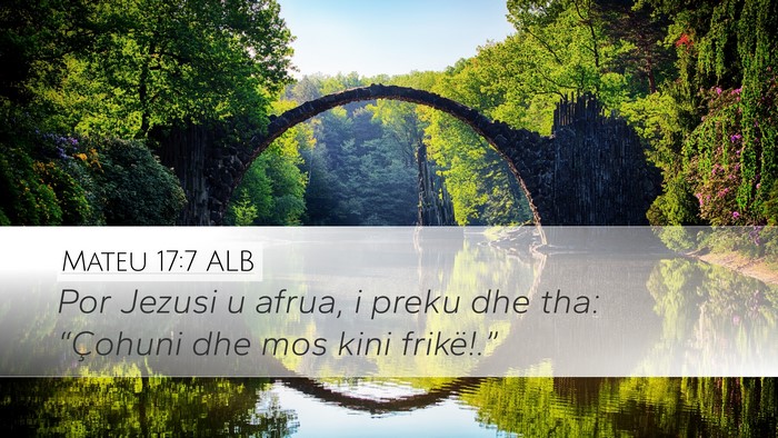 Mateu 17:7 ALB Bible Verse Image