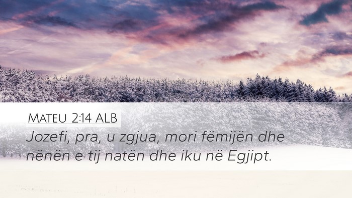 Mateu 2:14 ALB Desktop Wallpaper - Jozefi, pra, u zgjua, mori fëmijën dhe nënën - Desktop Bible Verse Wallpaper