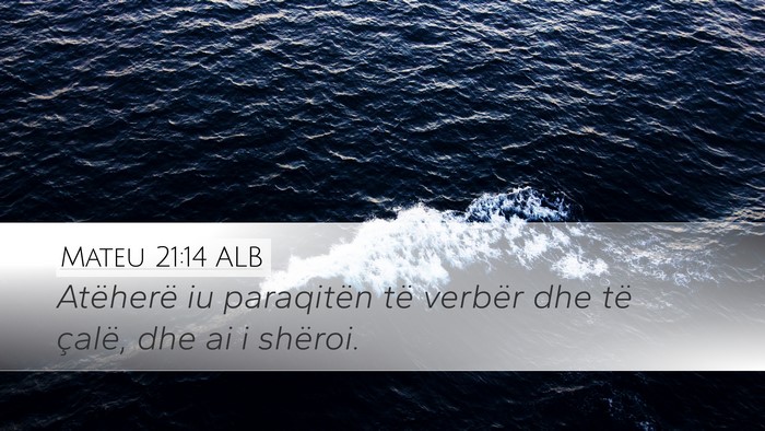 Mateu 21:14 ALB Bible Verse Image