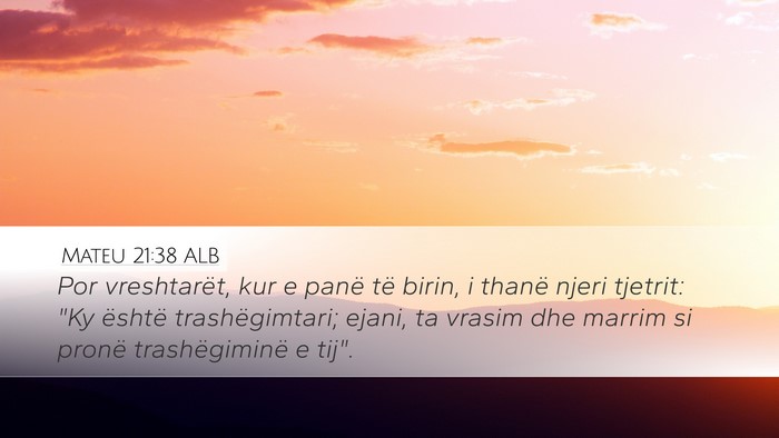 Mateu 21:38 ALB Bible Verse Image