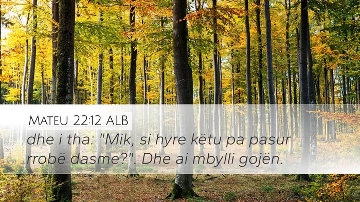 Mateu 22:12 ALB Bible Verse Image