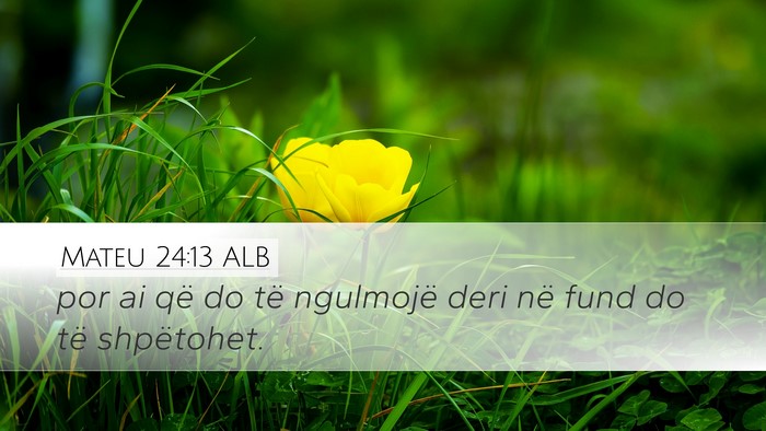 Mateu 24:13 ALB Bible Verse Image