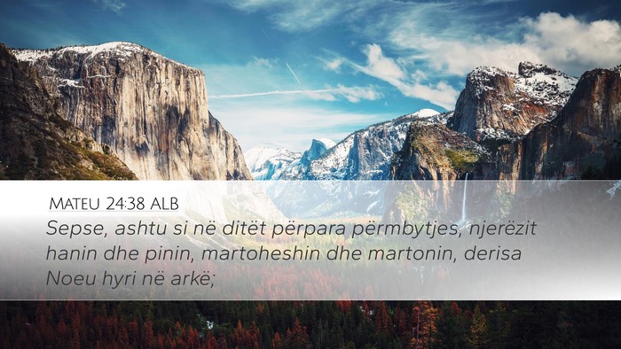 Mateu 24:38 ALB Bible Verse Image